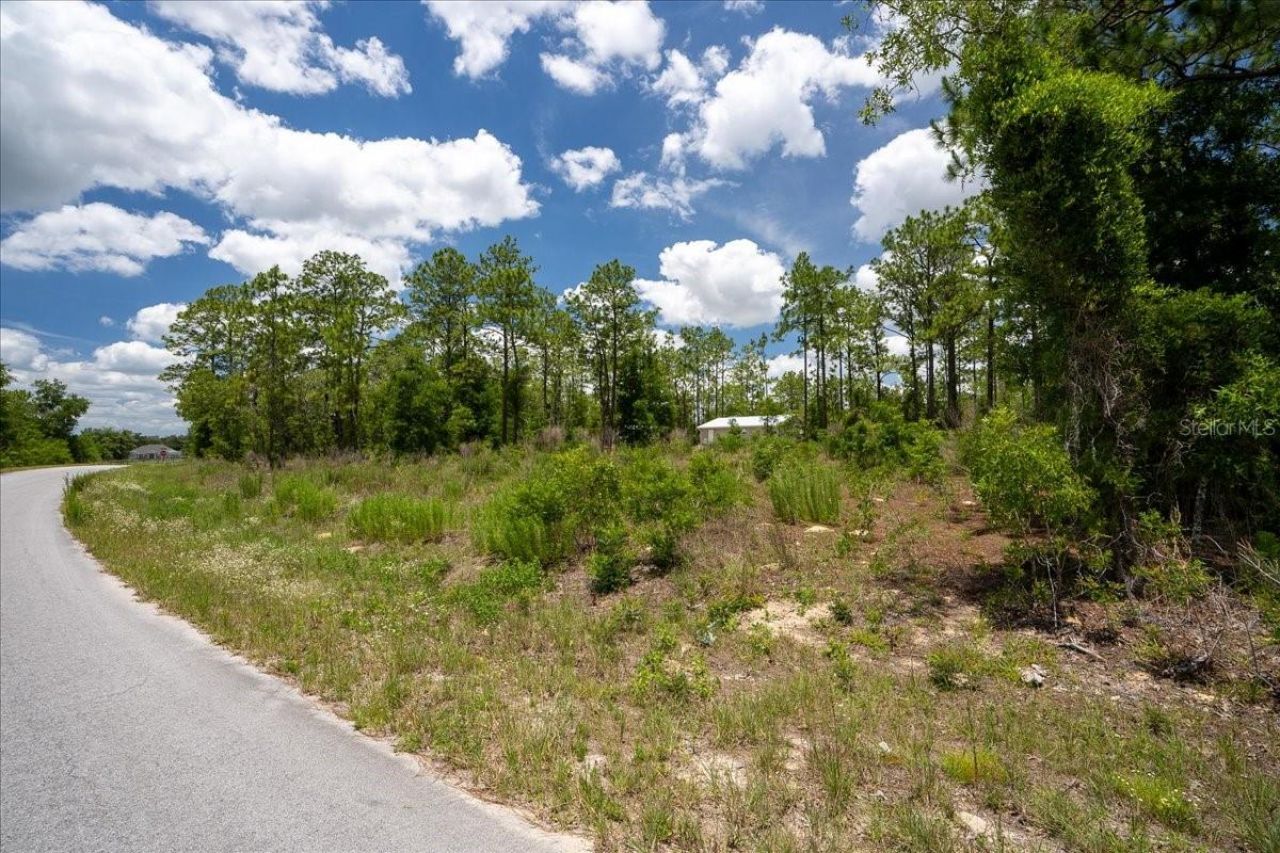 Ne 4th Lane , Williston, FL 32696 Photo