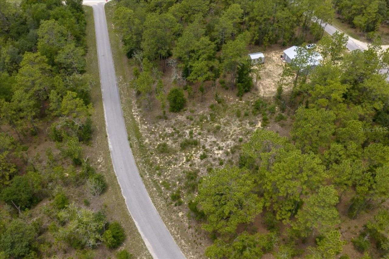 Ne 4th Lane , Williston, FL 32696 Photo