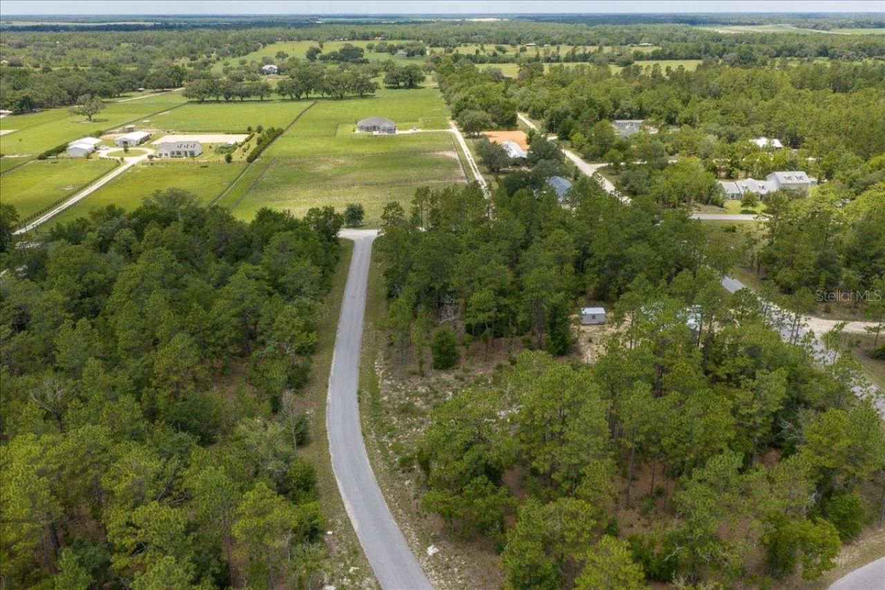 Ne 4th Lane , Williston, FL 32696 Photo