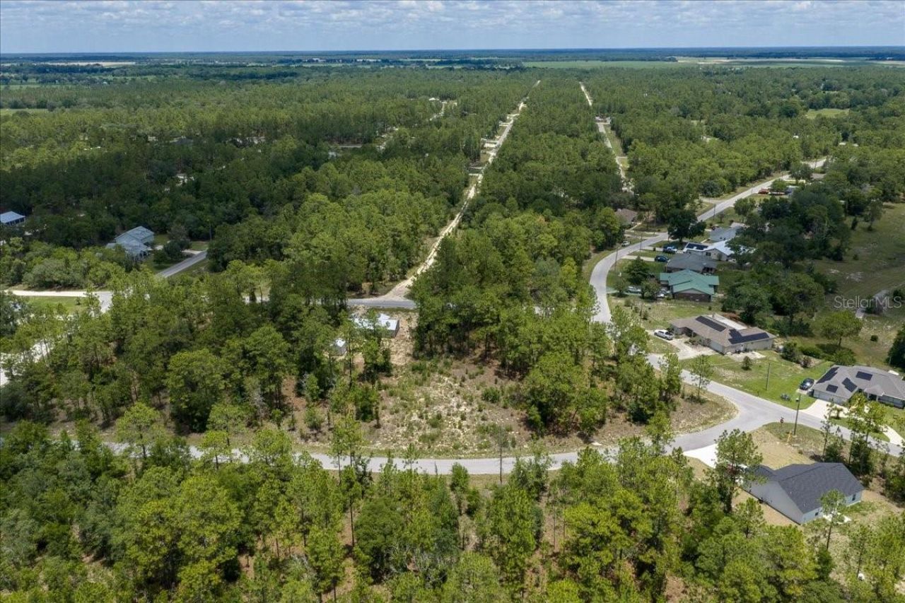 Ne 4th Lane , Williston, FL 32696 Photo
