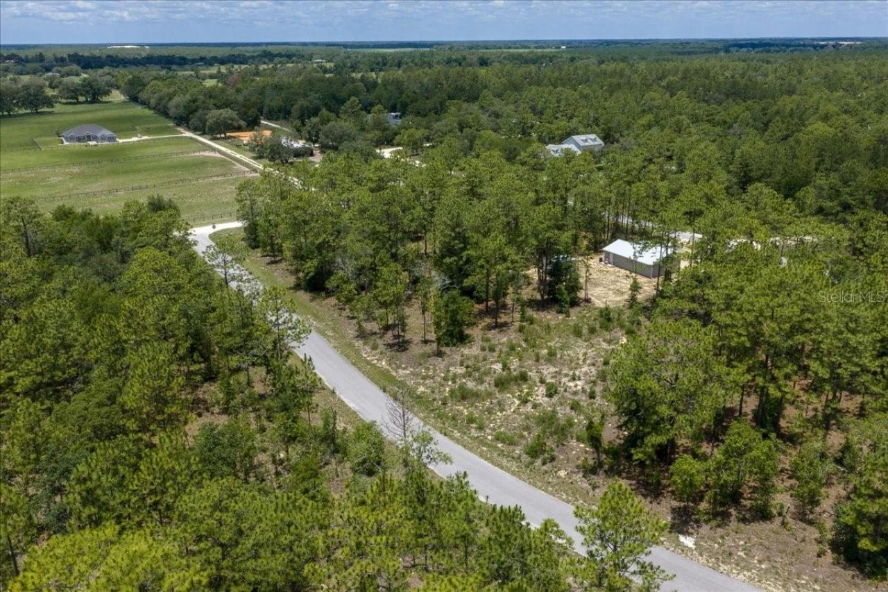 Ne 4th Lane , Williston, FL 32696 Photo