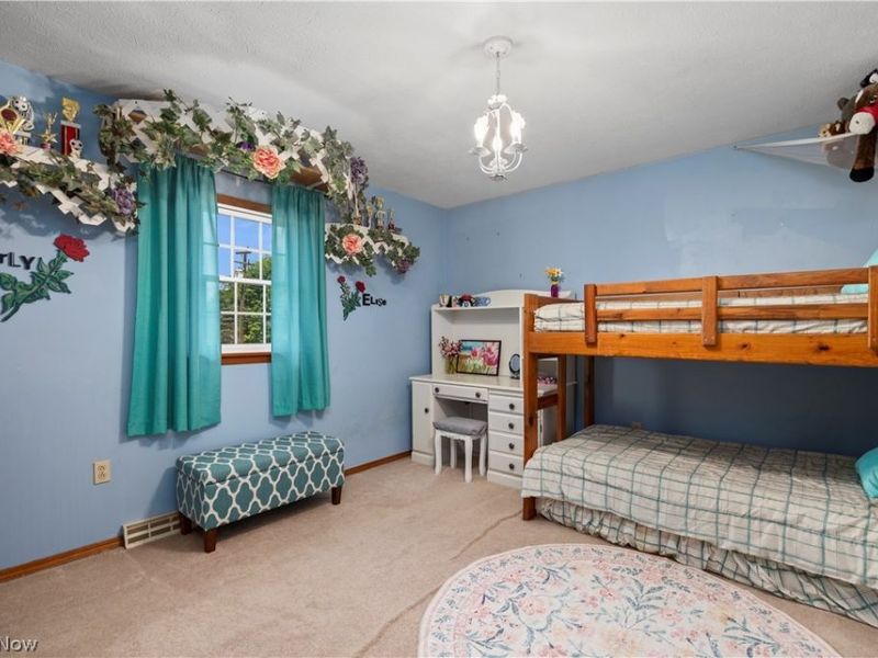 11611 Vermilion Road, Oberlin, OH 44074 Photo 30