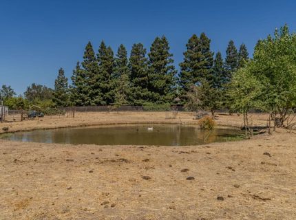 11811 Walmort Rd, Wilton, CA 95693 Photo