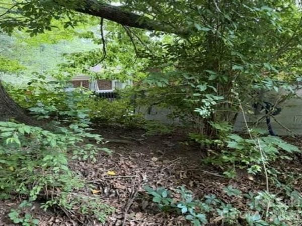 3 S and T Spirit Drive , Candler, NC 28715