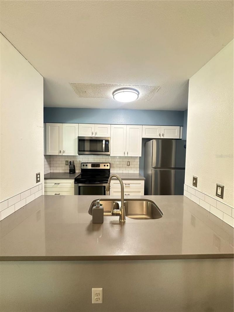 2235 Fluorshire Dr Drive, Brandon, FL 33511 Photo