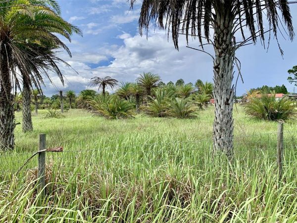 DAN BROWN HILL ROAD , BROOKSVILLE, FL 34602