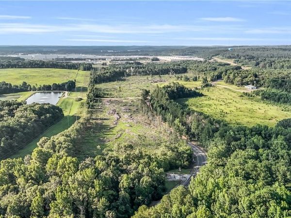 000 Tingle Tangle rd, Vance, AL 35490