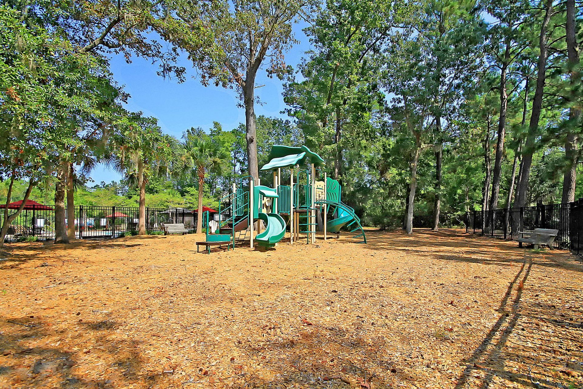 3106 Gallberry Street Photo 54