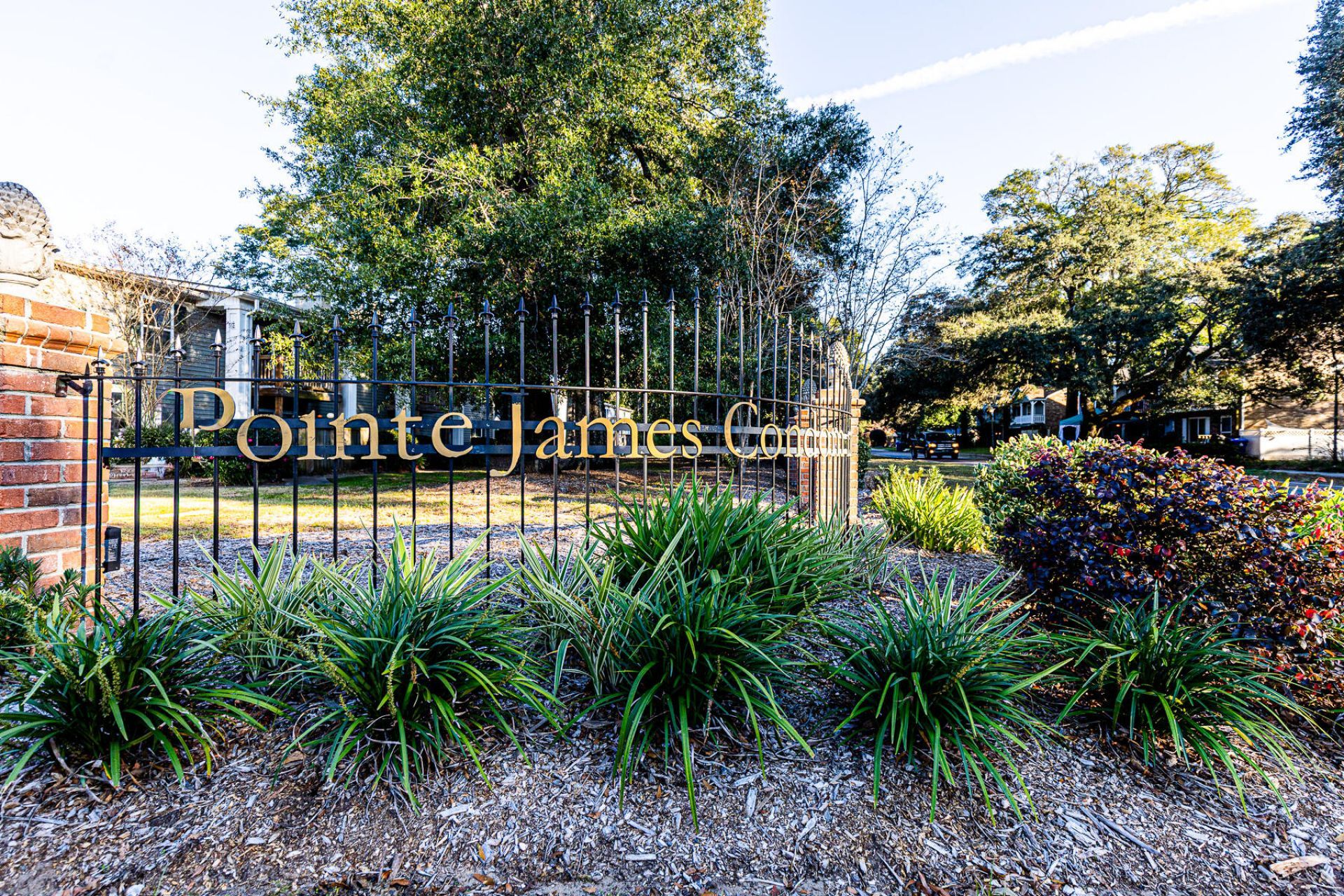 1402 Camp Road Photo 4
