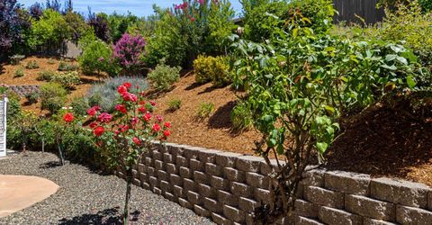4148 Torrazzo Way, El Dorado Hills, CA 95762 Photo