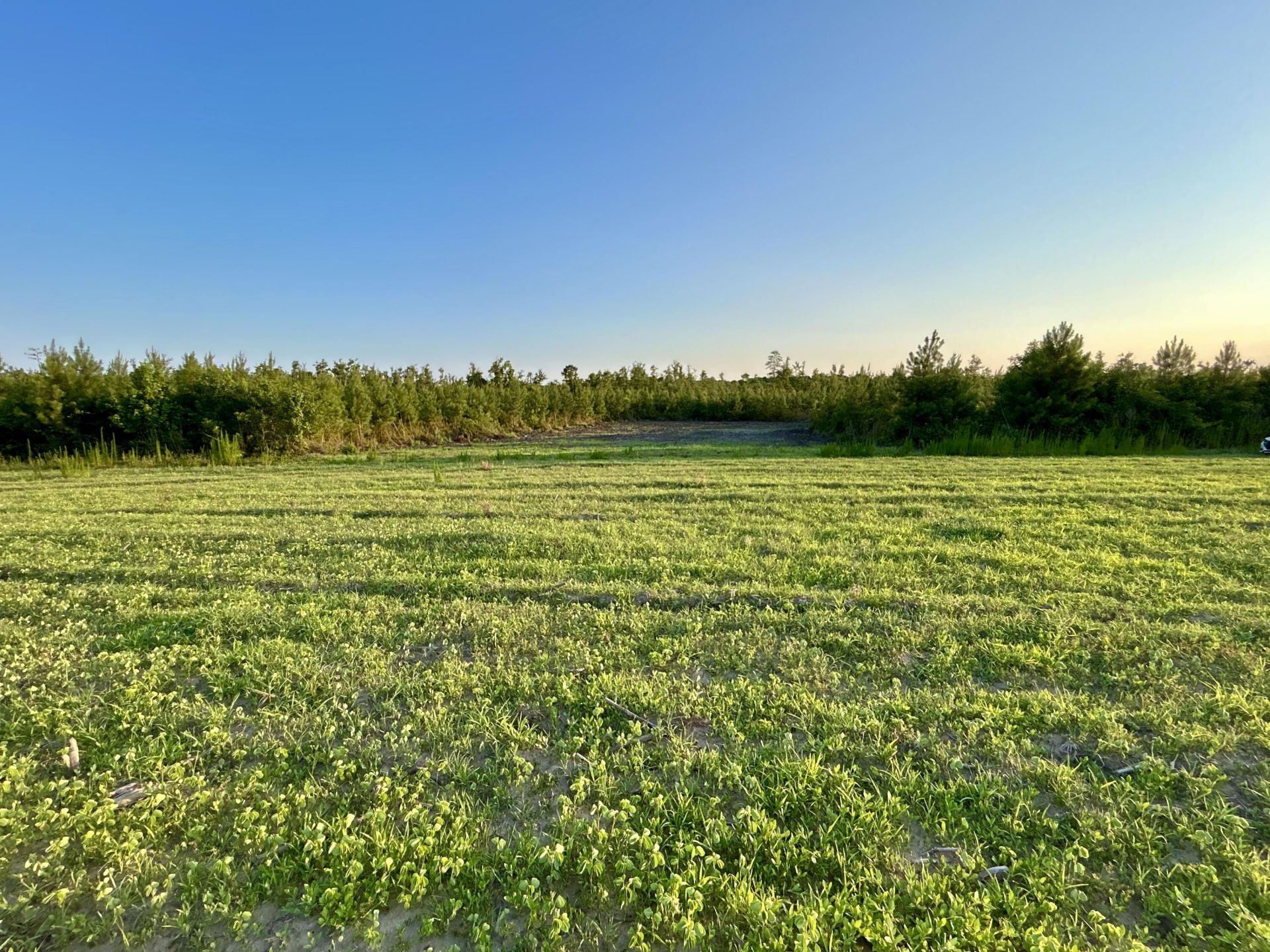 0 Fc Cox Road Photo 28