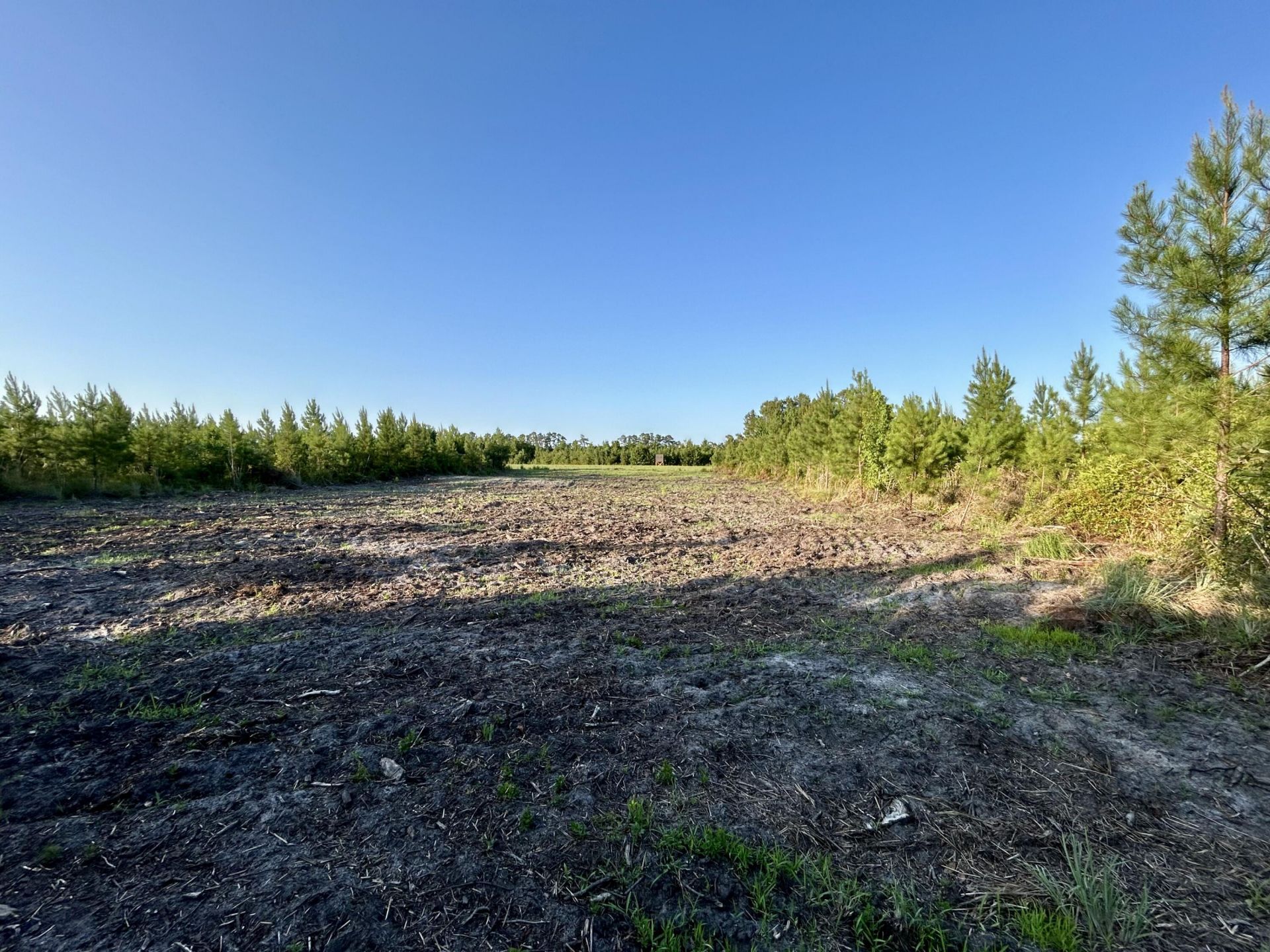0 Fc Cox Road Photo 6
