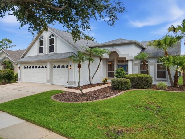 10226 TIMBERLAND POINT DRIVE, TAMPA, FL 33647