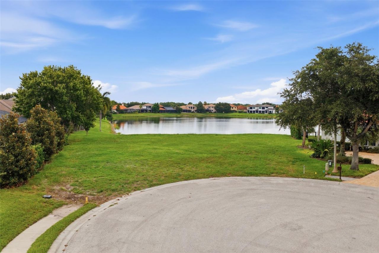 10341 Altrara Way , Trinity, FL 34655 Photo