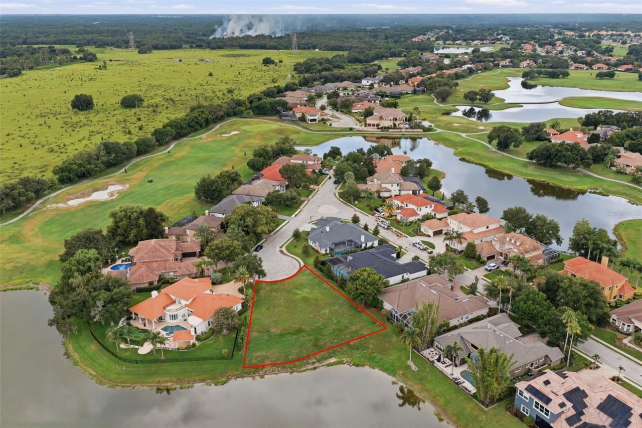 10341 Altrara Way , Trinity, FL 34655 Photo