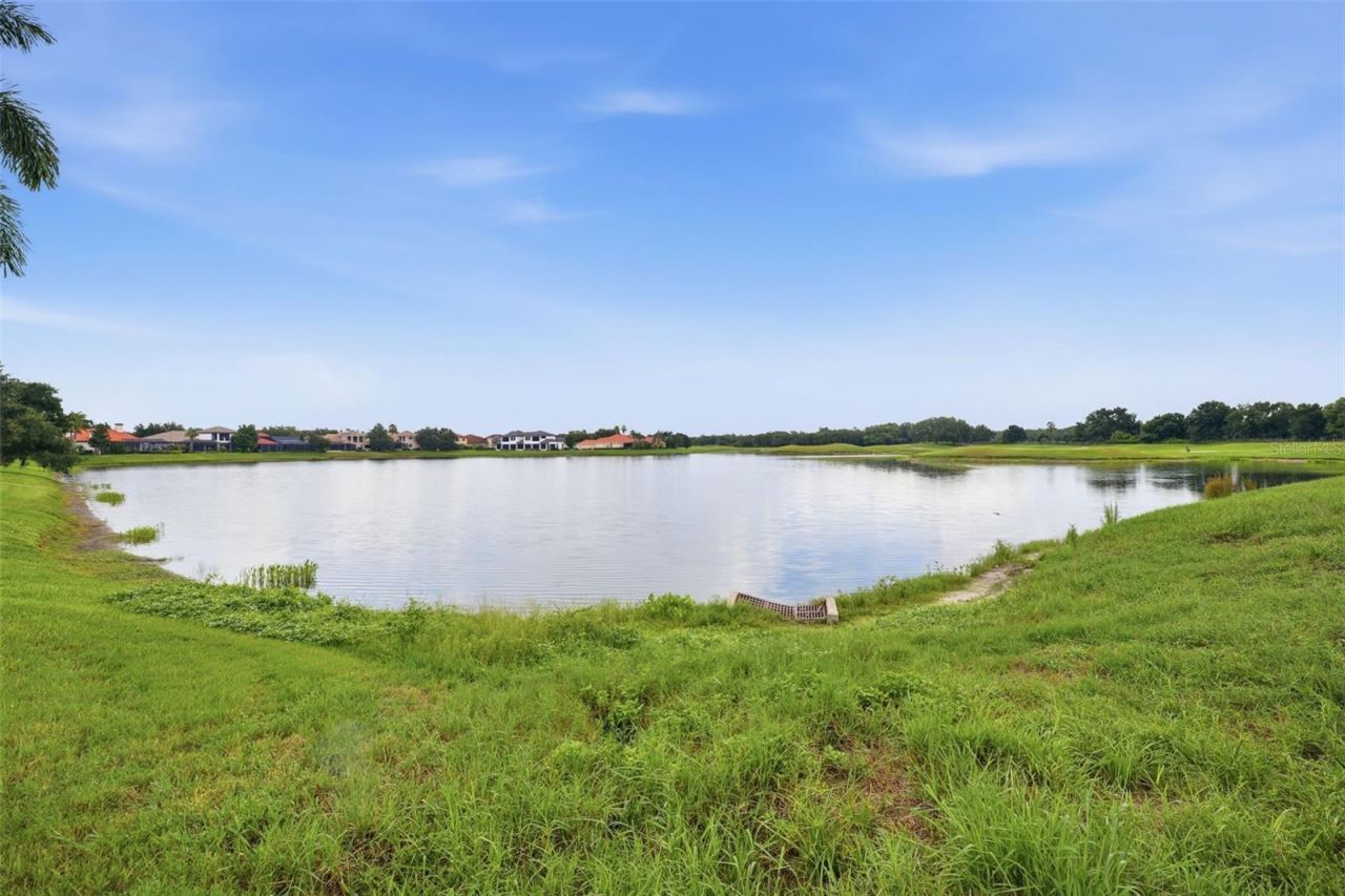 10341 Altrara Way , Trinity, FL 34655 Photo