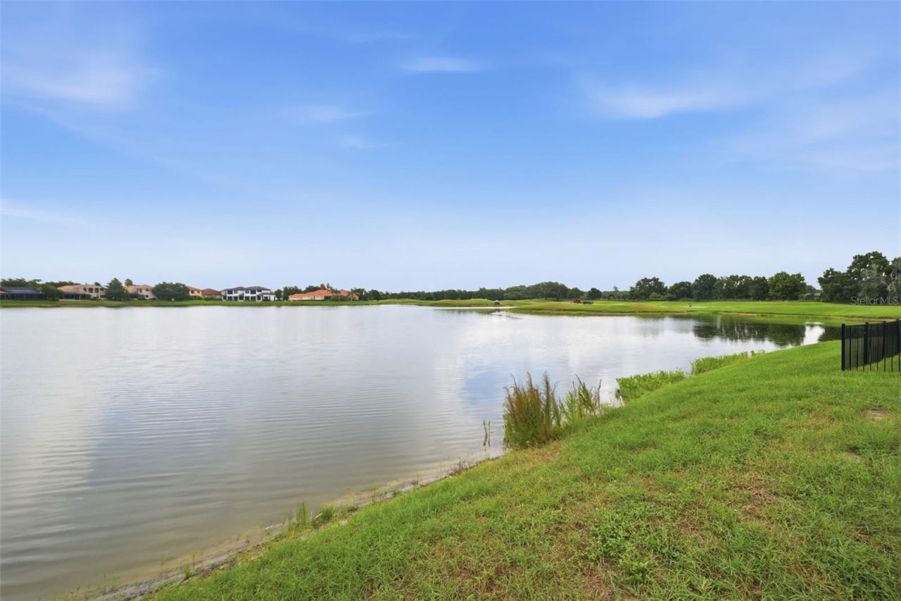 10341 Altrara Way , Trinity, FL 34655 Photo