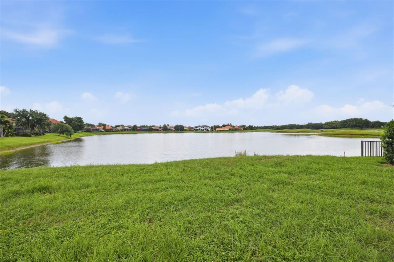 10341 Altrara Way , Trinity, FL 34655 Photo