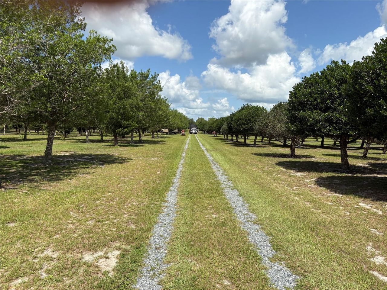 1238 S Us 301 , Sumterville, FL 33585 Photo