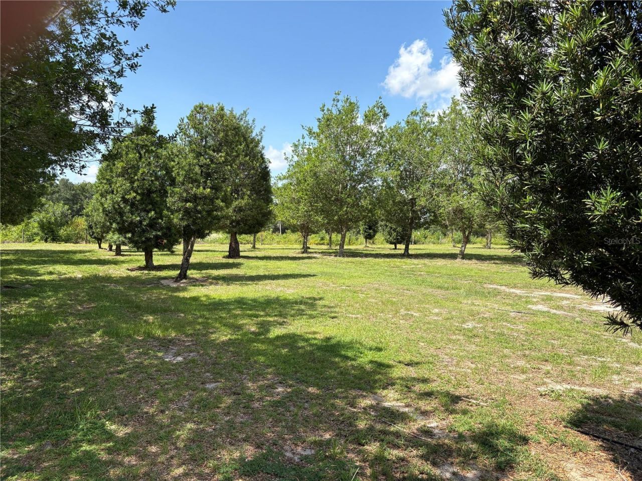 1238 S Us 301 , Sumterville, FL 33585 Photo