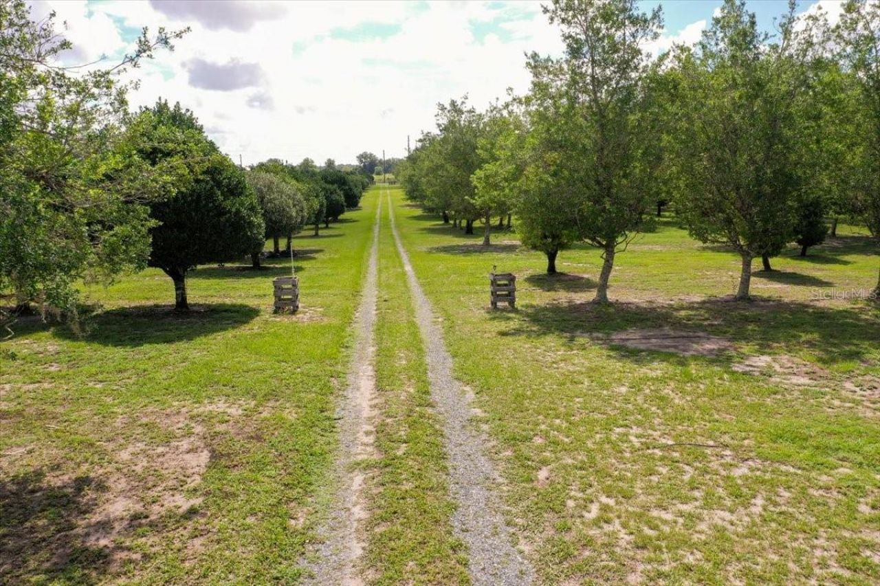 1238 S Us 301 , Sumterville, FL 33585 Photo