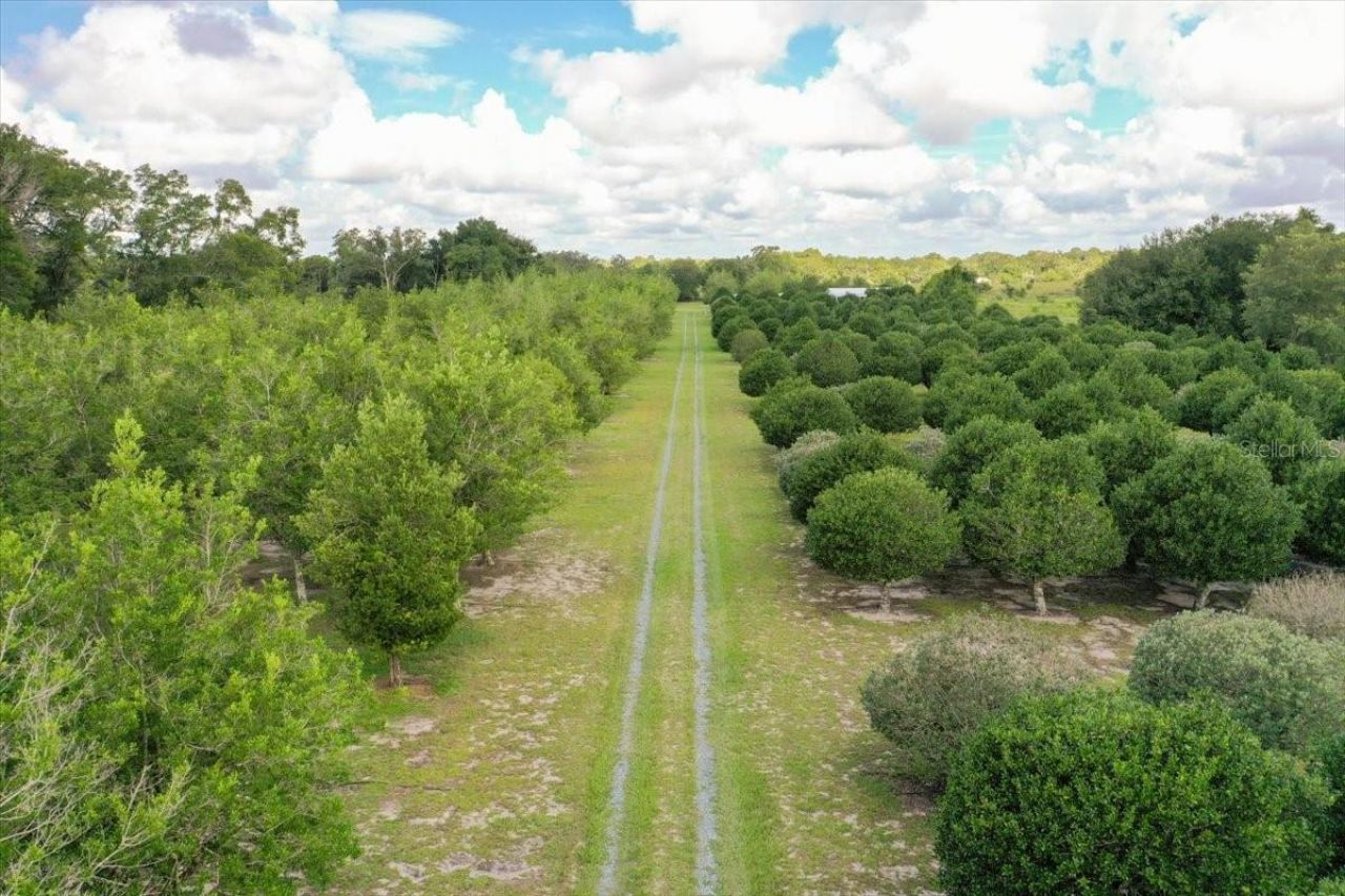 1238 S Us 301 , Sumterville, FL 33585 Photo