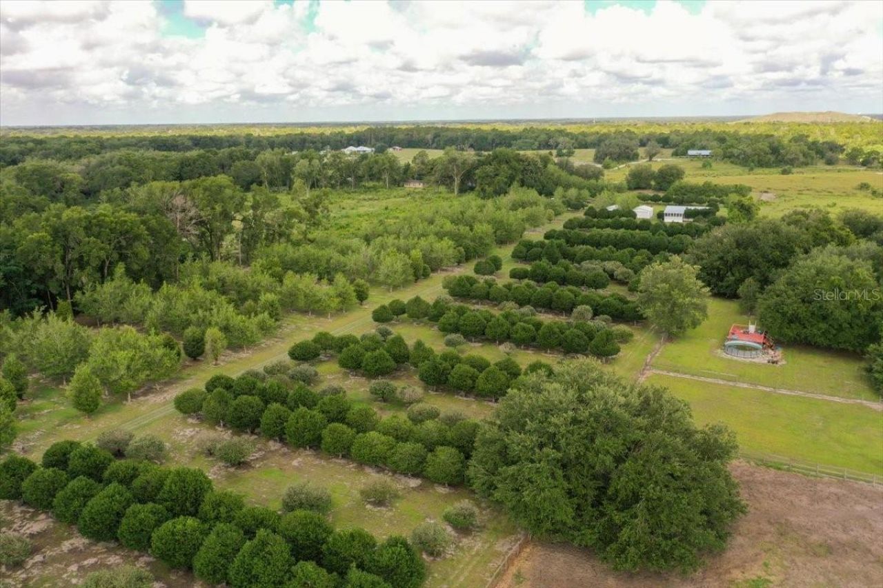 1238 S Us 301 , Sumterville, FL 33585 Photo