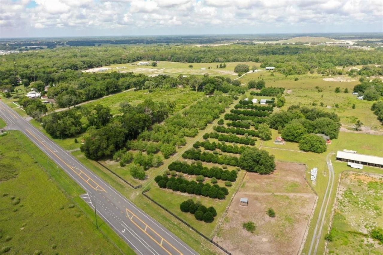 1238 S Us 301 , Sumterville, FL 33585 Photo