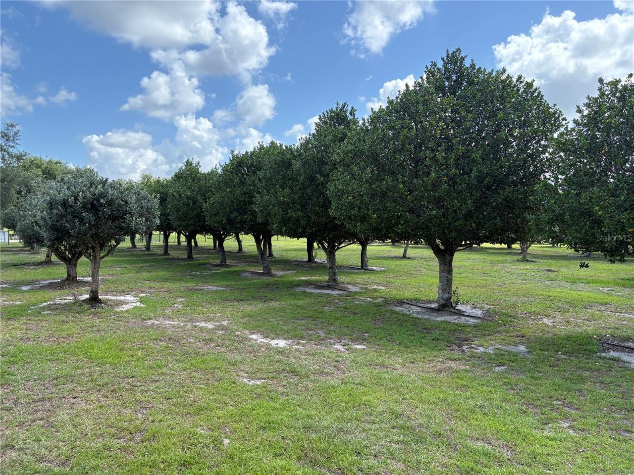 1238 S Us 301 , Sumterville, FL 33585 Photo