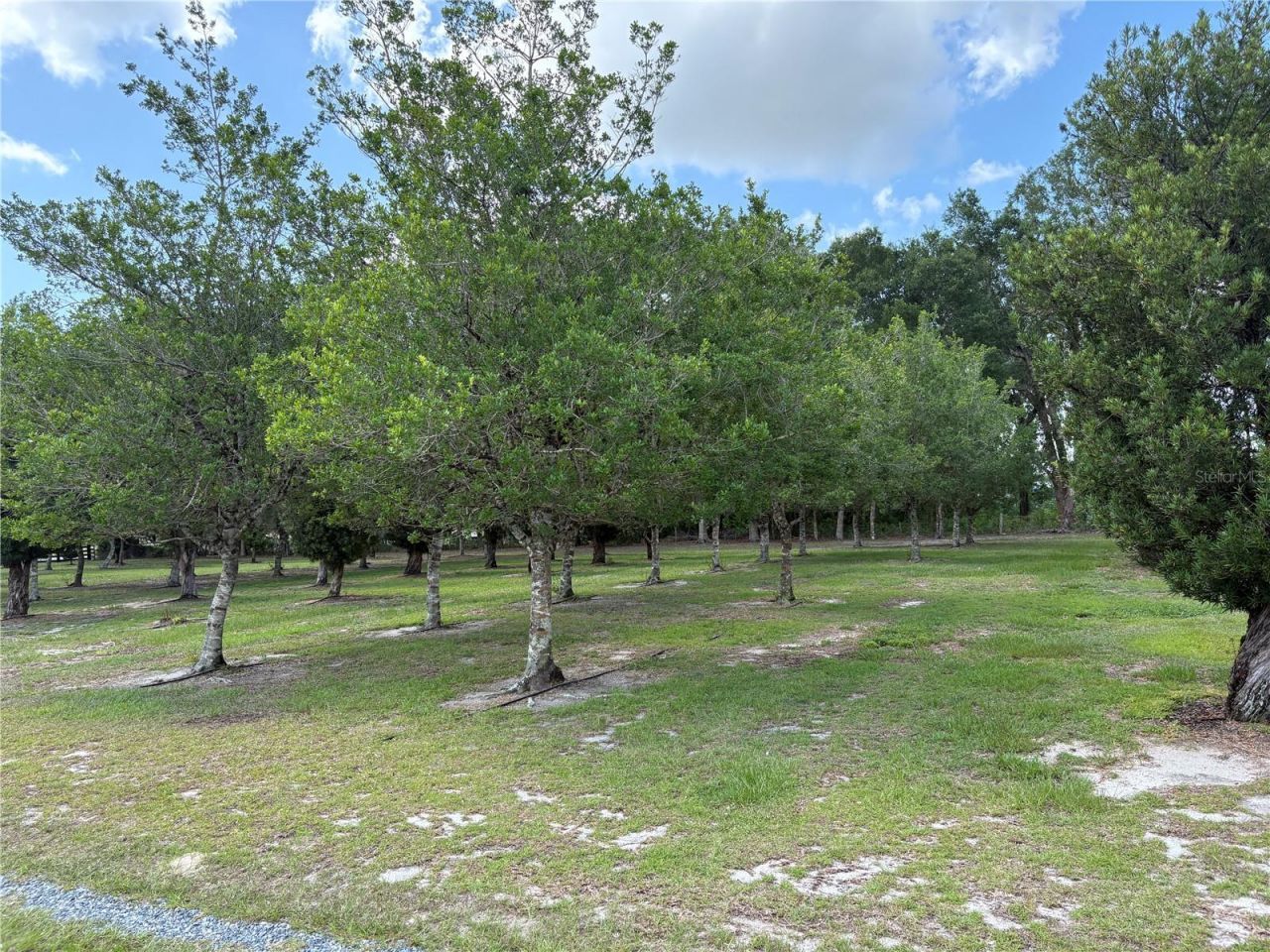 1238 S Us 301 , Sumterville, FL 33585 Photo