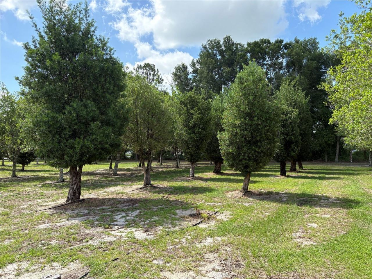 1238 S Us 301 , Sumterville, FL 33585 Photo