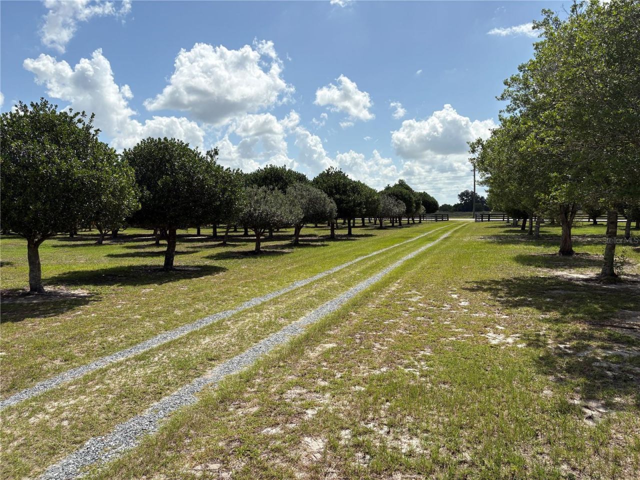 1238 S Us 301 , Sumterville, FL 33585 Photo