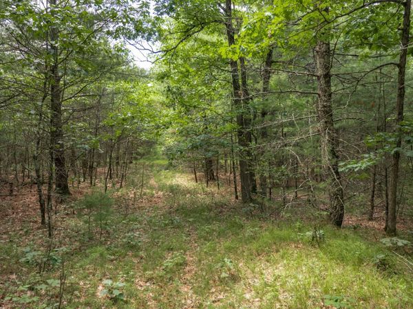 1617 20th Avenue, Arkdale, WI 54613