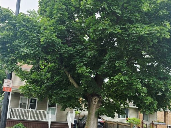 109 Beech Street , Buffalo, NY 14218