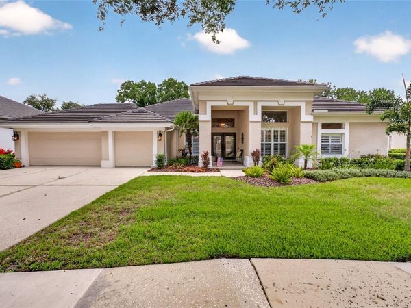 9109 WOODRIDGE RUN DRIVE , TAMPA, FL 33647