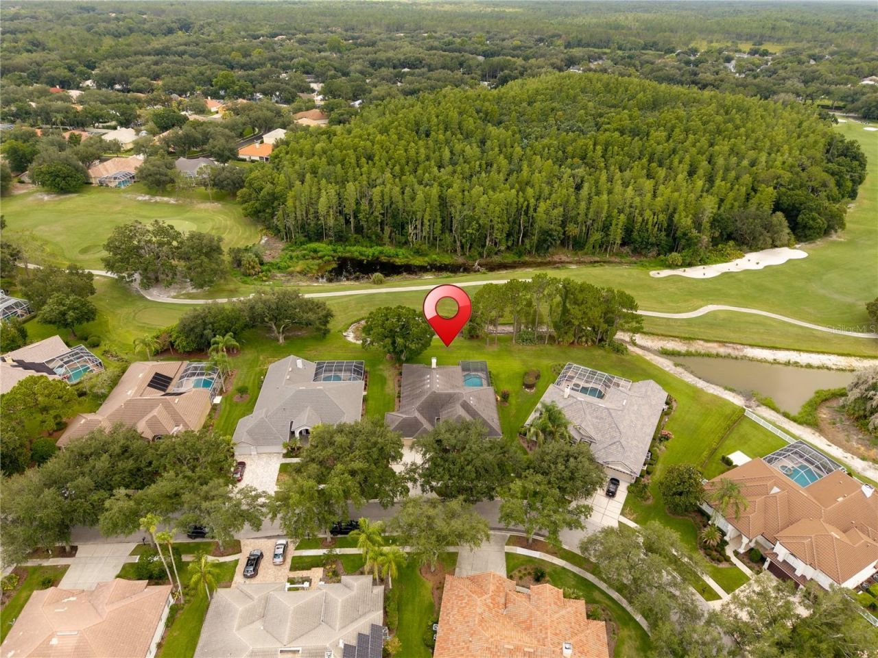 9109 Woodridge Run Drive , Tampa, FL 33647 Photo