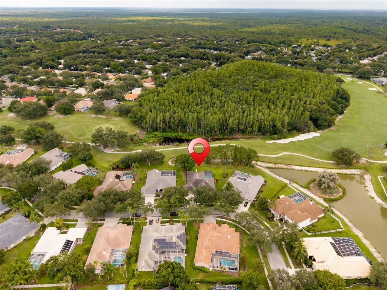 9109 Woodridge Run Drive , Tampa, FL 33647 Photo