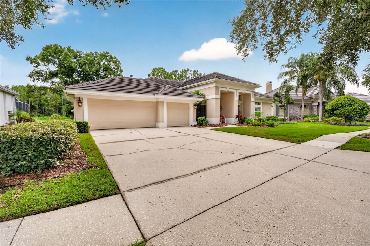 9109 Woodridge Run Drive , Tampa, FL 33647 Photo
