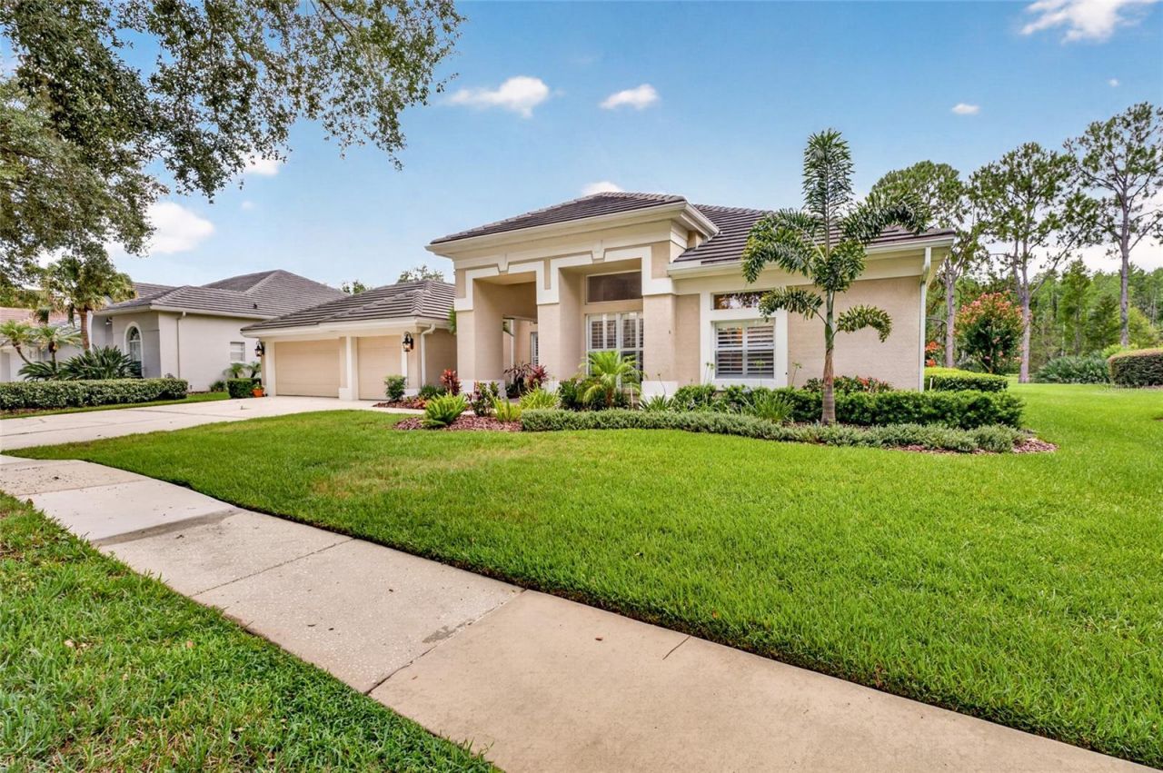 9109 Woodridge Run Drive , Tampa, FL 33647 Photo