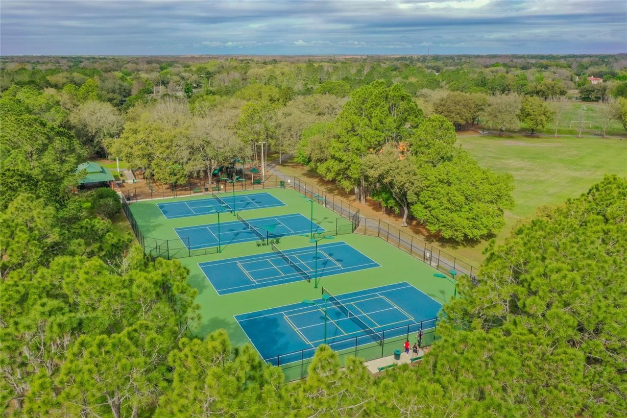9109 Woodridge Run Drive , Tampa, FL 33647 Photo