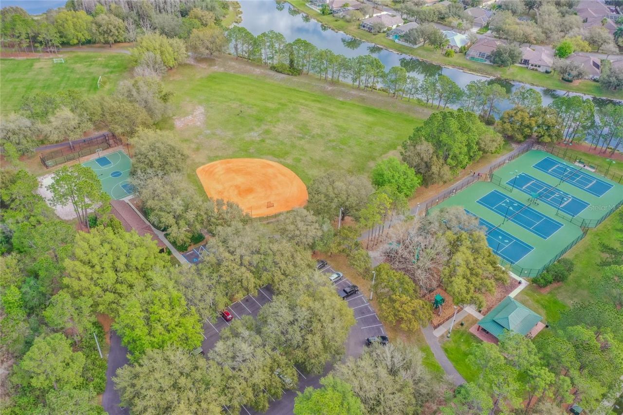 9109 Woodridge Run Drive , Tampa, FL 33647 Photo