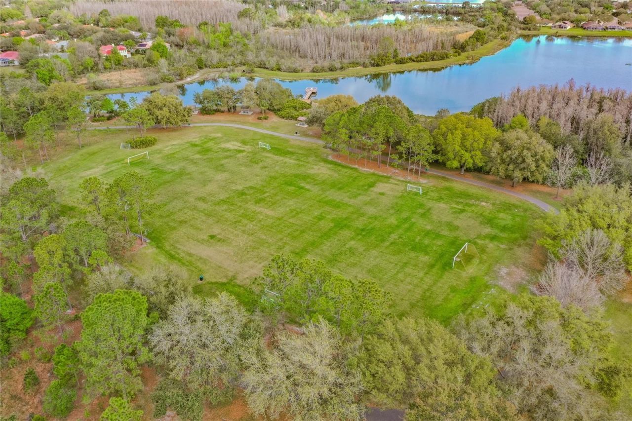 9109 Woodridge Run Drive , Tampa, FL 33647 Photo