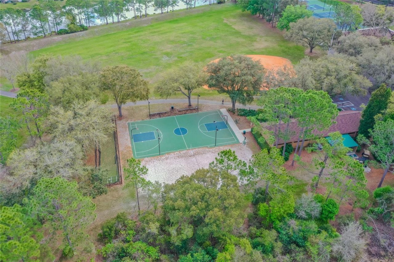 9109 Woodridge Run Drive , Tampa, FL 33647 Photo