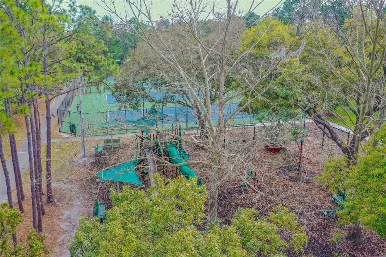 9109 Woodridge Run Drive , Tampa, FL 33647 Photo