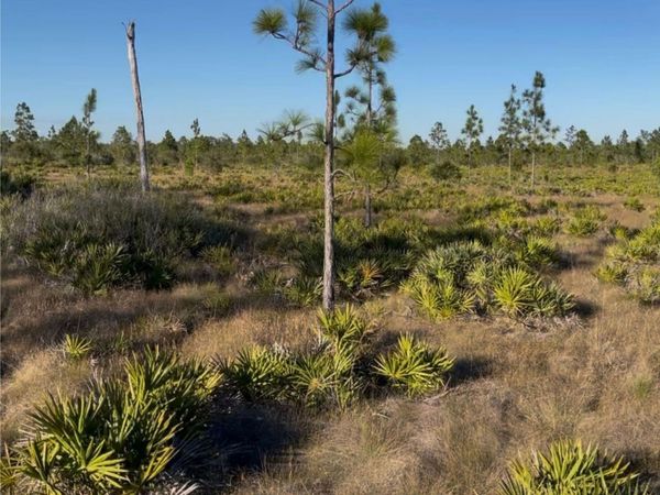 HOLOPAW GROVES ROAD , ST CLOUD, FL 34771