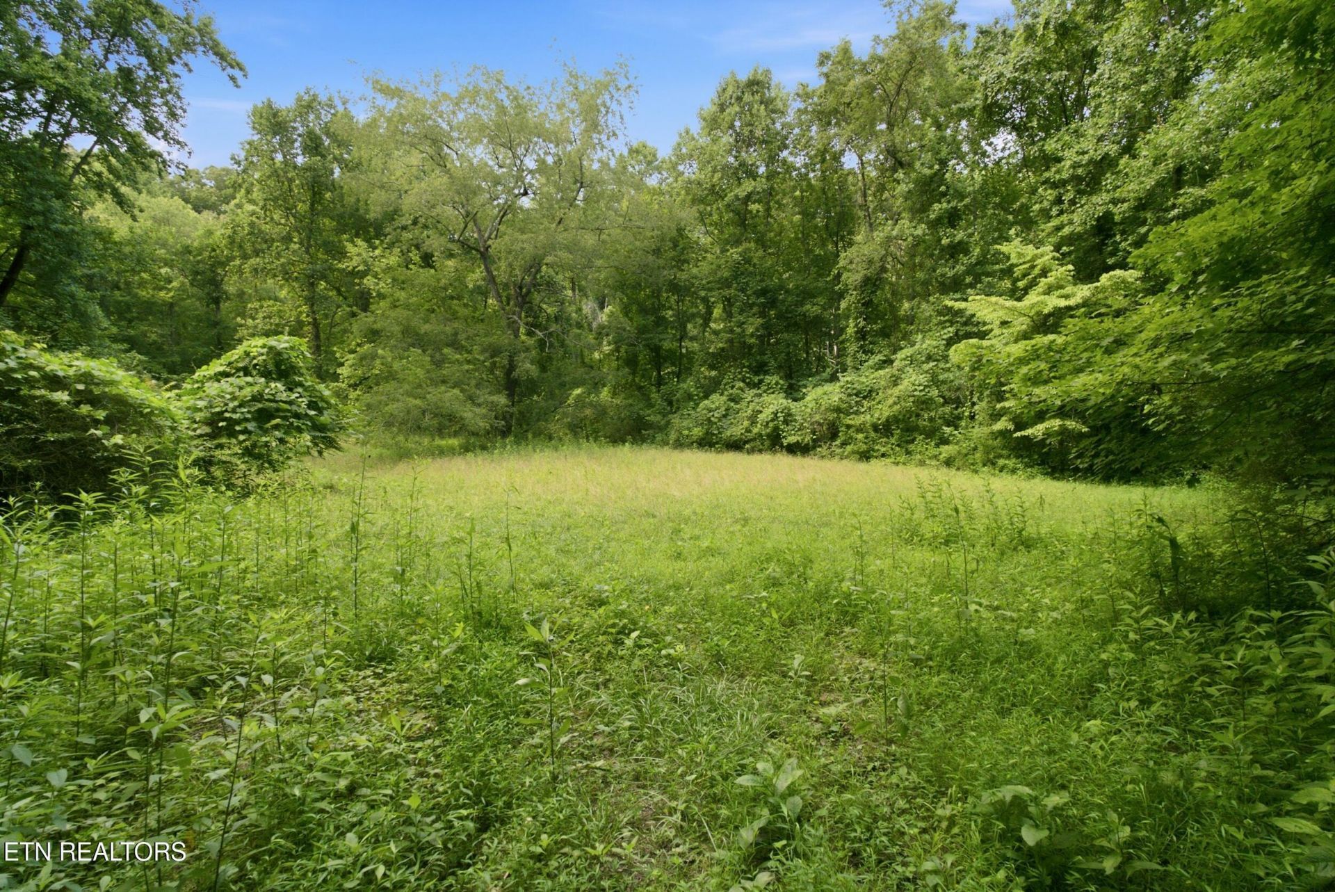 2777 Swanson Lane, Knoxville, TN 37932 Main Photo