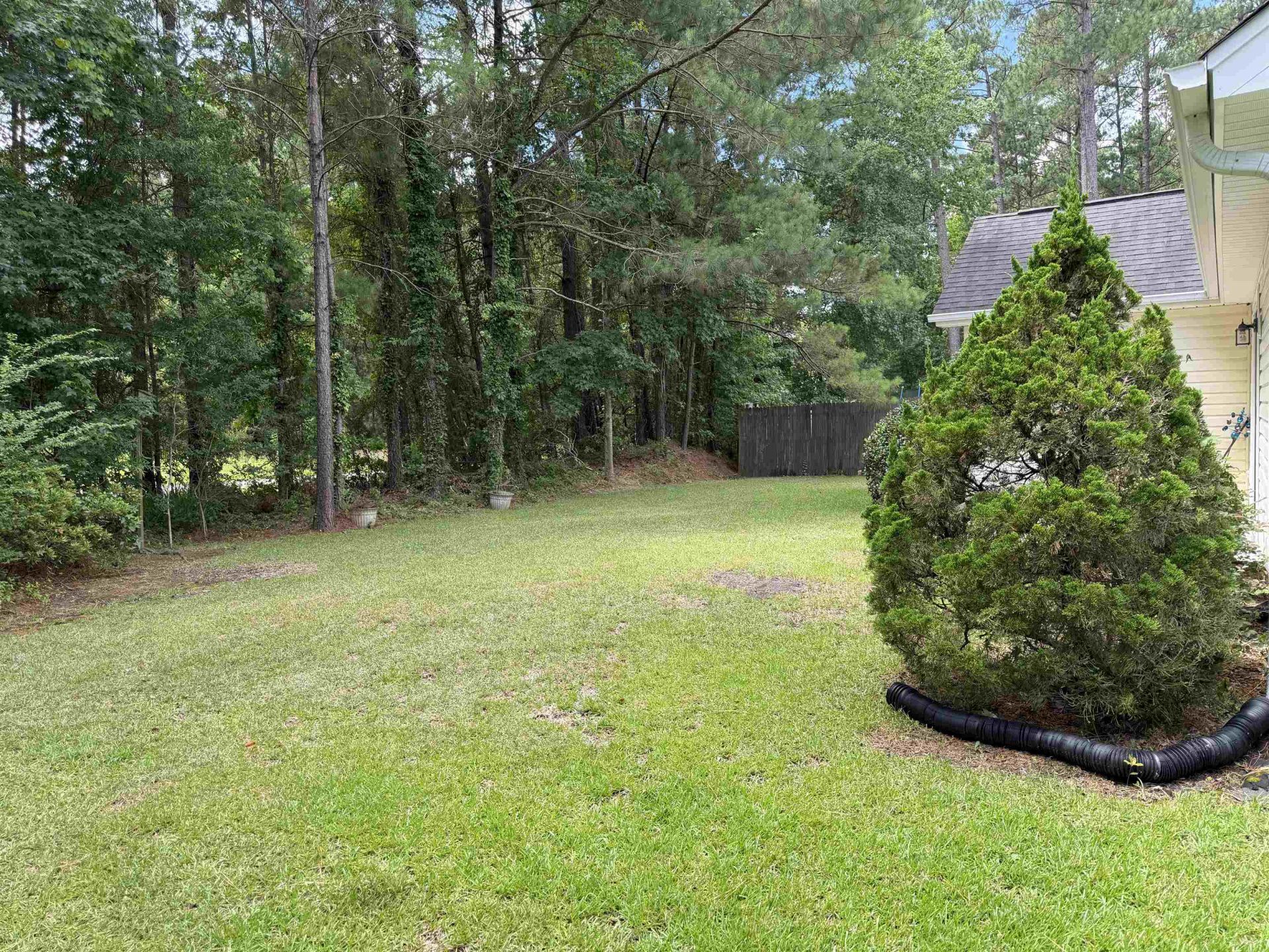 224 Clovis Circle Photo 22