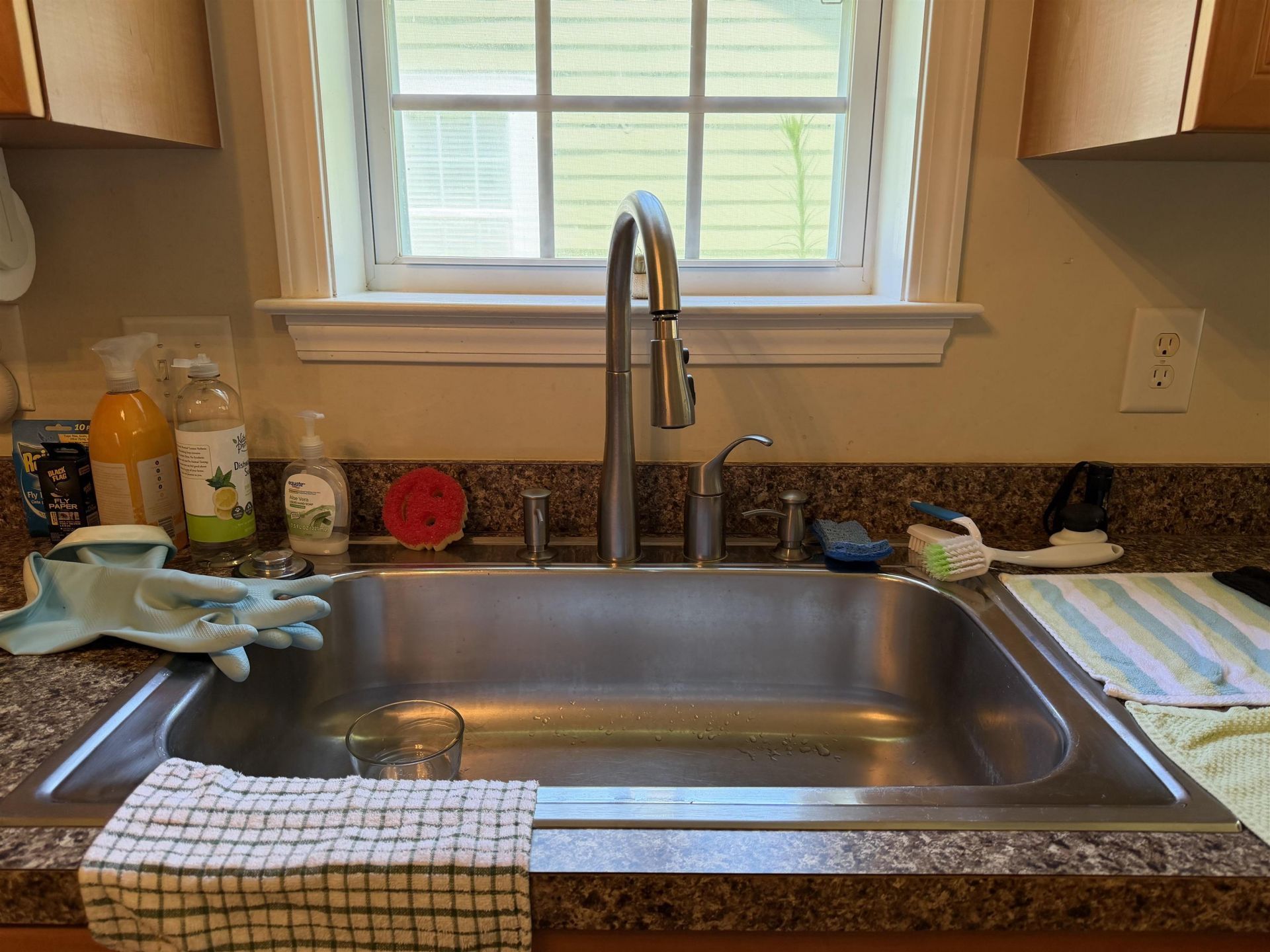 224 Clovis Circle Photo 6