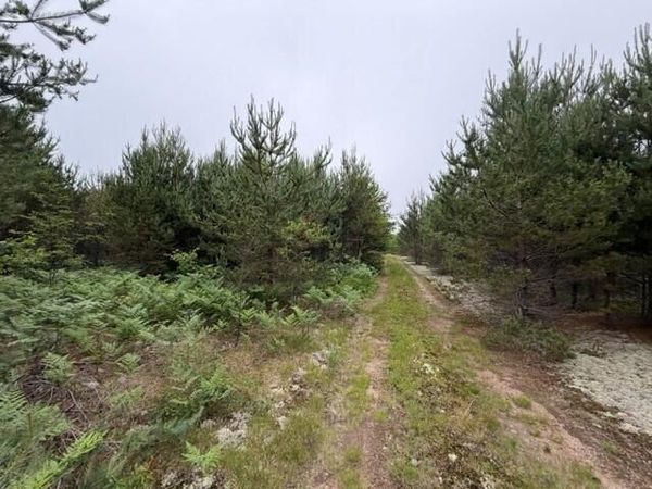 17268 W Pendills Lake RD, Brimley/Bay Mills, MI 49715
