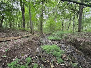 Flat Iron Road, Hunt, NY 14846